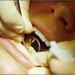 Denta Stil - clinica stomatologie